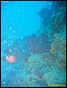 IMG_5929.JPG