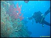 IMG_5935.JPG