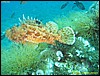 IMG_5970.JPG