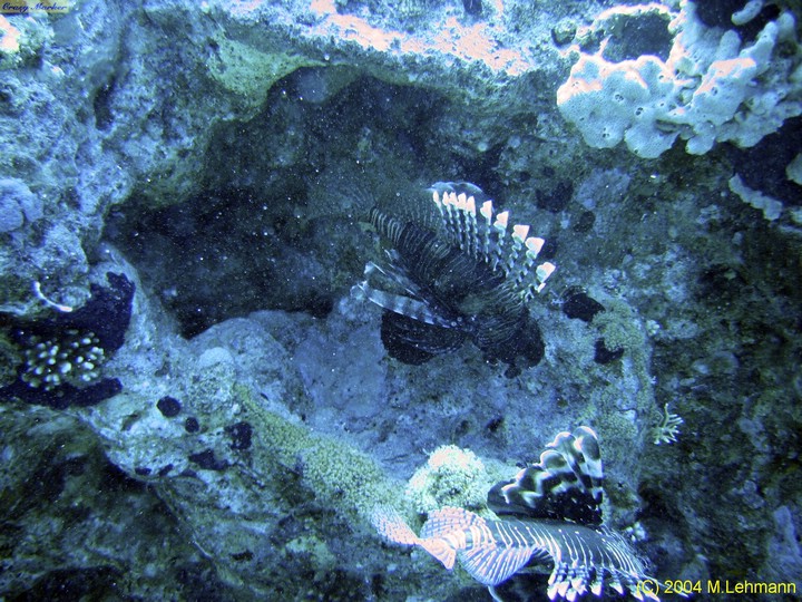 IMG_6060.JPG