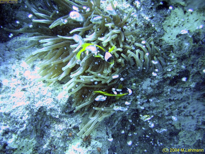 IMG_6064.JPG