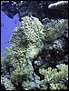IMG_6044.JPG