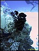 IMG_6047.JPG