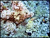 IMG_6049.JPG