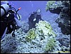 IMG_6057.JPG