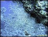IMG_6061.JPG
