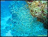 IMG_6062.JPG