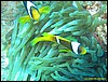 IMG_6067.JPG