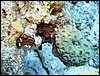 IMG_6068.JPG