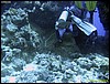 IMG_6069.JPG