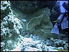 IMG_6071.JPG
