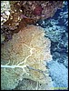 IMG_6074.JPG