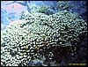 IMG_6076.JPG