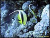 IMG_6079.JPG