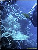 IMG_6095.JPG