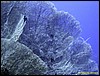 IMG_6096.JPG