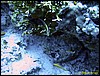 IMG_6098.JPG