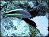IMG_6112.JPG