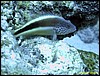 IMG_6113.JPG