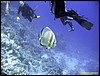 IMG_6122.JPG