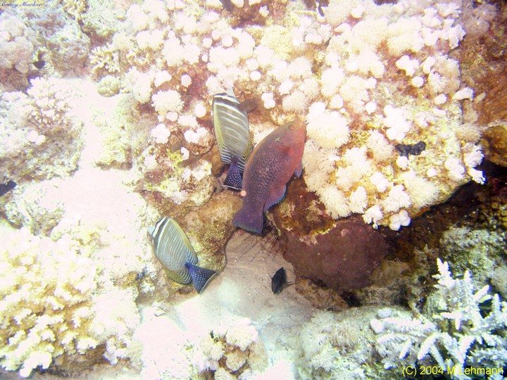 IMG_6150.JPG