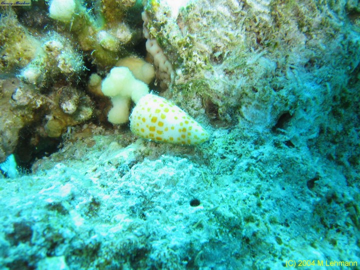 IMG_6153.JPG
