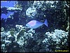 IMG_6133.JPG
