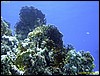 IMG_6134.JPG