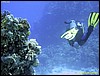 IMG_6135.JPG