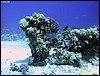 IMG_6136.JPG