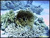 IMG_6141.JPG
