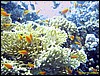 IMG_6146.JPG