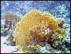 IMG_6147.JPG