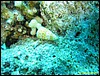 IMG_6153.JPG