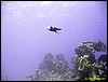 IMG_6159.JPG