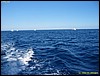 IMG_6164.JPG