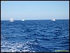 IMG_6165.JPG