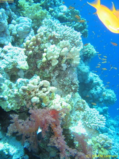 IMG_6222.JPG