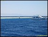 IMG_6179.JPG