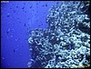 IMG_6188.JPG