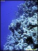 IMG_6191.JPG