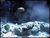 IMG_6195.JPG