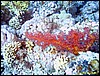 IMG_6211.JPG