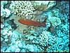 IMG_6217.JPG