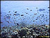 IMG_6218.JPG