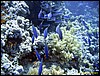 IMG_6219.JPG