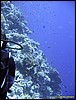 IMG_6220.JPG