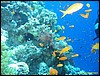 IMG_6221.JPG