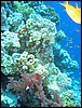 IMG_6222.JPG