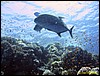 IMG_6225.JPG